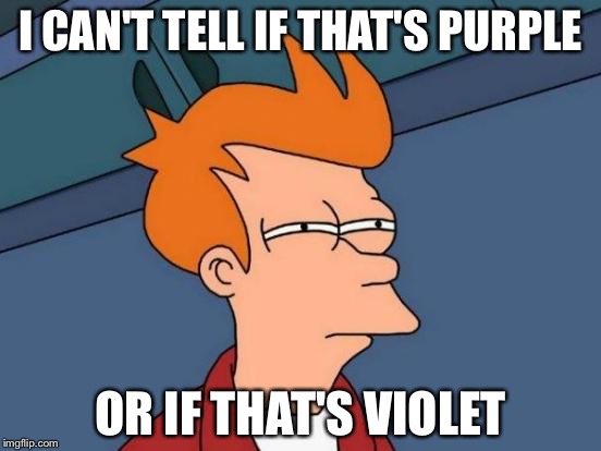 Futurama Fry | I CAN'T TELL IF THAT'S PURPLE; OR IF THAT'S VIOLET | image tagged in memes,futurama fry | made w/ Imgflip meme maker