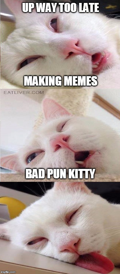 So tired. |  UP WAY TOO LATE; MAKING MEMES; BAD PUN KITTY | image tagged in bad pun kitty,staying up late | made w/ Imgflip meme maker
