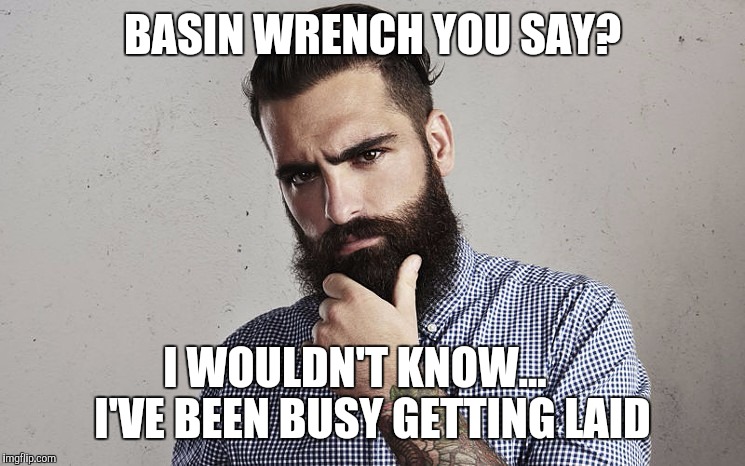 Wayward Woodsman  | BASIN WRENCH YOU SAY? I WOULDN'T KNOW... 
   I'VE BEEN BUSY GETTING LAID | image tagged in beard,hipsters,lumberjack | made w/ Imgflip meme maker