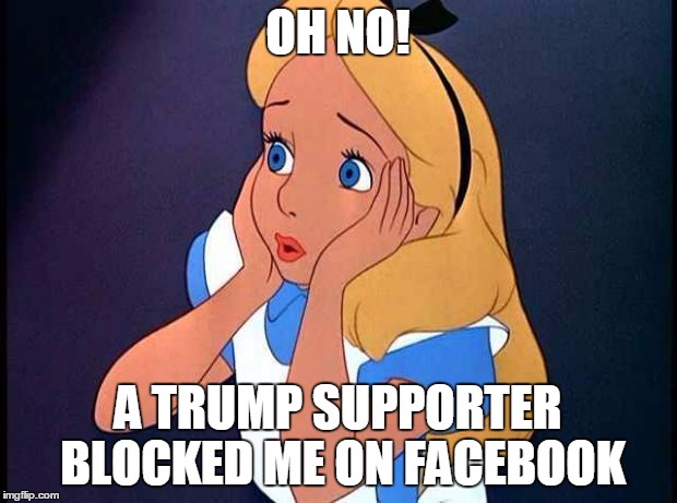 OH NO | OH NO! A TRUMP SUPPORTER BLOCKED ME ON FACEBOOK | image tagged in oh no | made w/ Imgflip meme maker