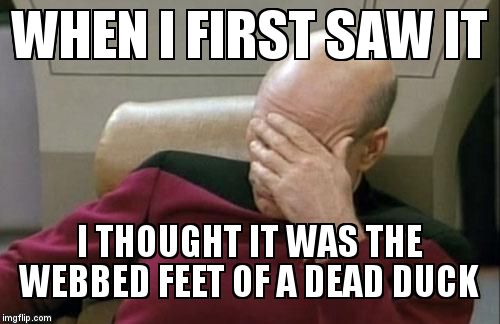 Captain Picard Facepalm Meme | WHEN I FIRST SAW IT I THOUGHT IT WAS THE WEBBED FEET OF A DEAD DUCK | image tagged in memes,captain picard facepalm | made w/ Imgflip meme maker