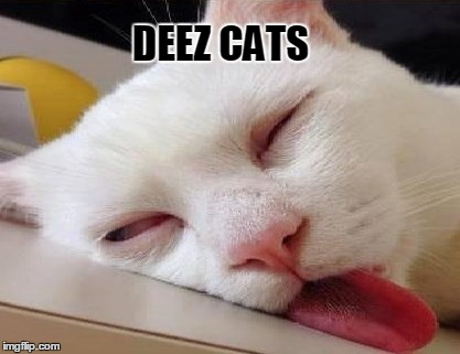 DEEZ CATS | made w/ Imgflip meme maker