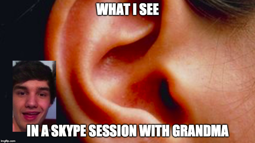 skyping grandma | WHAT I SEE; IN A SKYPE SESSION WITH GRANDMA | image tagged in memes,funny memes,skype,funny,1st world problems,old people | made w/ Imgflip meme maker