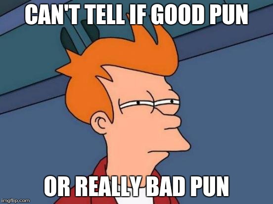 Futurama Fry Meme | CAN'T TELL IF GOOD PUN OR REALLY BAD PUN | image tagged in memes,futurama fry | made w/ Imgflip meme maker