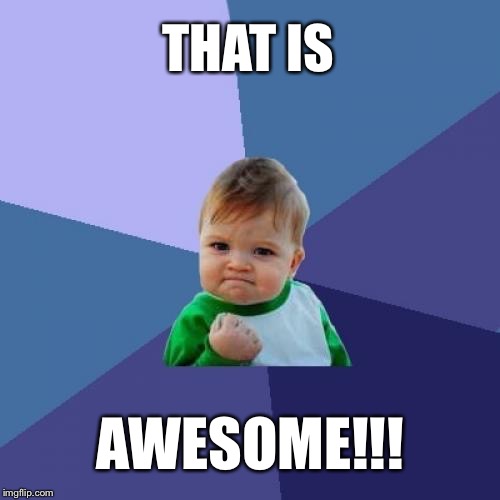 Success Kid Meme | THAT IS AWESOME!!! | image tagged in memes,success kid | made w/ Imgflip meme maker