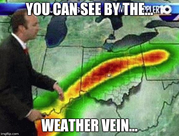 Weatherman | YOU CAN SEE BY THE... WEATHER VEIN... | image tagged in weatherman | made w/ Imgflip meme maker