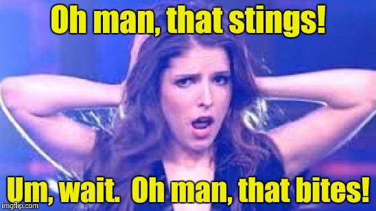 I don't believe it Anna | Oh man, that stings! Um, wait.  Oh man, that bites! | image tagged in i don't believe it anna | made w/ Imgflip meme maker