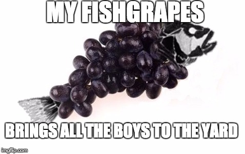 FishGrapes - A fished of fury with a grape sense of humour! | MY FISHGRAPES; BRINGS ALL THE BOYS TO THE YARD | image tagged in memes,humor,fishgrapes,funny,song lyrics,lyrics | made w/ Imgflip meme maker
