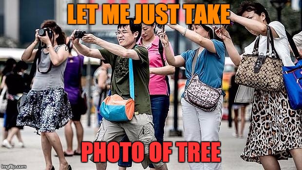 Asian Tourist | LET ME JUST TAKE; PHOTO OF TREE | image tagged in asian tourist | made w/ Imgflip meme maker