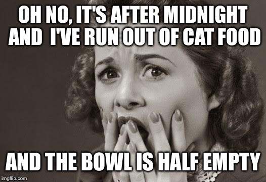 This is happening right now.....help me | OH NO, IT'S AFTER MIDNIGHT AND  I'VE RUN OUT OF CAT FOOD; AND THE BOWL IS HALF EMPTY | image tagged in scared,memes,kill you cat,it's true | made w/ Imgflip meme maker