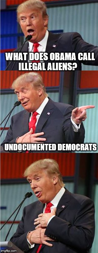Bad Pun Trump | WHAT DOES OBAMA CALL ILLEGAL ALIENS? UNDOCUMENTED DEMOCRATS | image tagged in bad pun trump | made w/ Imgflip meme maker
