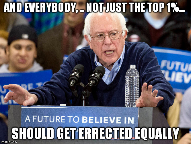 AND EVERYBODY, .. NOT JUST THE TOP 1%... SHOULD GET ERRECTED EQUALLY | made w/ Imgflip meme maker