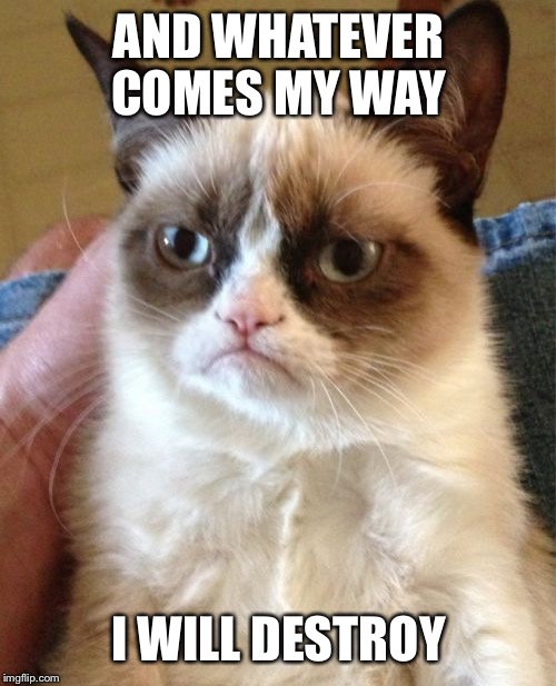 Grumpy Cat Meme | AND WHATEVER COMES MY WAY I WILL DESTROY | image tagged in memes,grumpy cat | made w/ Imgflip meme maker