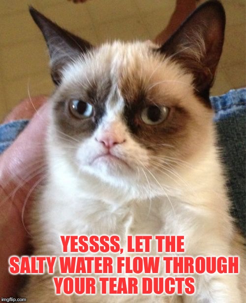 Grumpy Cat Meme | YESSSS, LET THE SALTY WATER FLOW THROUGH YOUR TEAR DUCTS | image tagged in memes,grumpy cat | made w/ Imgflip meme maker