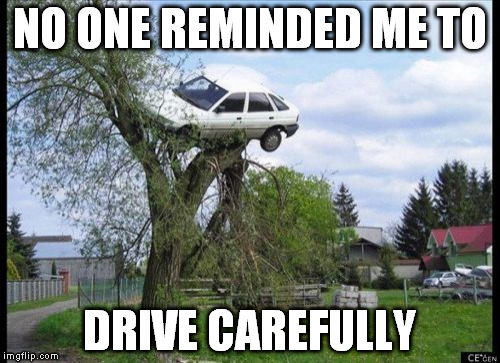 Not my fault | NO ONE REMINDED ME TO; DRIVE CAREFULLY | image tagged in secure parking | made w/ Imgflip meme maker