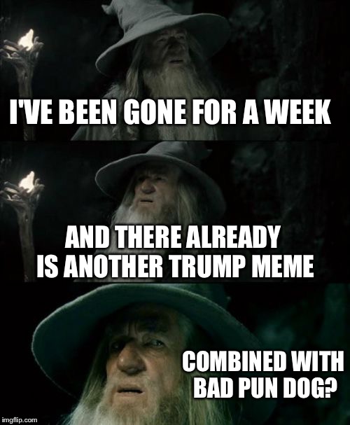 Confused Gandalf | I'VE BEEN GONE FOR A WEEK; AND THERE ALREADY IS ANOTHER TRUMP MEME; COMBINED WITH BAD PUN DOG? | image tagged in memes,confused gandalf | made w/ Imgflip meme maker