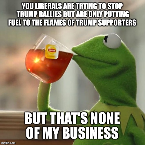 But That's None Of My Business | YOU LIBERALS ARE TRYING TO STOP TRUMP RALLIES BUT ARE ONLY PUTTING FUEL TO THE FLAMES OF TRUMP SUPPORTERS; BUT THAT'S NONE OF MY BUSINESS | image tagged in memes,but thats none of my business,kermit the frog | made w/ Imgflip meme maker