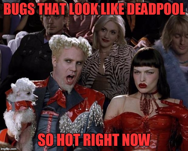 Mugatu So Hot Right Now Meme | BUGS THAT LOOK LIKE DEADPOOL SO HOT RIGHT NOW | image tagged in memes,mugatu so hot right now | made w/ Imgflip meme maker