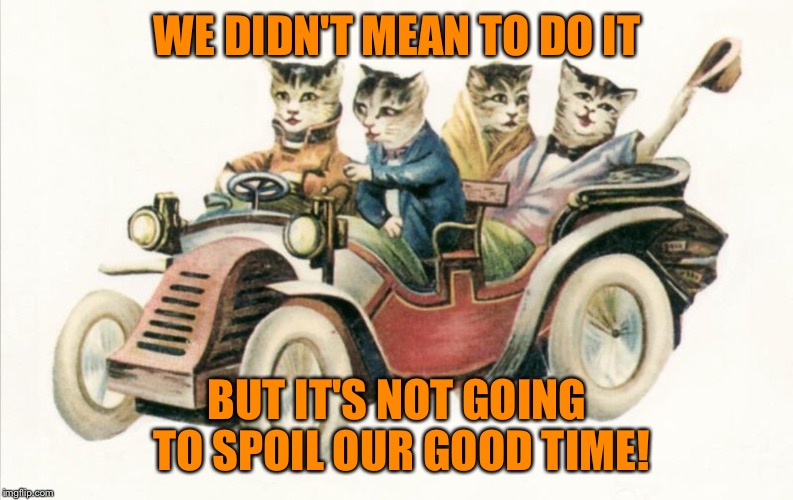 Cats Out For A Ride | WE DIDN'T MEAN TO DO IT BUT IT'S NOT GOING TO SPOIL OUR GOOD TIME! | image tagged in cats out for a ride | made w/ Imgflip meme maker