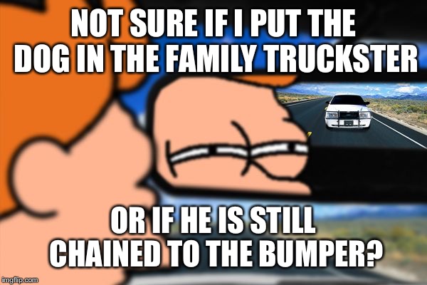 Do you know what the penalty is for cruelty to animals in this state? | NOT SURE IF I PUT THE DOG IN THE FAMILY TRUCKSTER; OR IF HE IS STILL CHAINED TO THE BUMPER? | image tagged in fry not sure car version,national | made w/ Imgflip meme maker