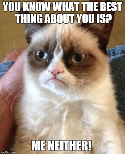 Grumpy Cat | YOU KNOW WHAT THE BEST THING ABOUT YOU IS? ME NEITHER! | image tagged in memes,grumpy cat | made w/ Imgflip meme maker