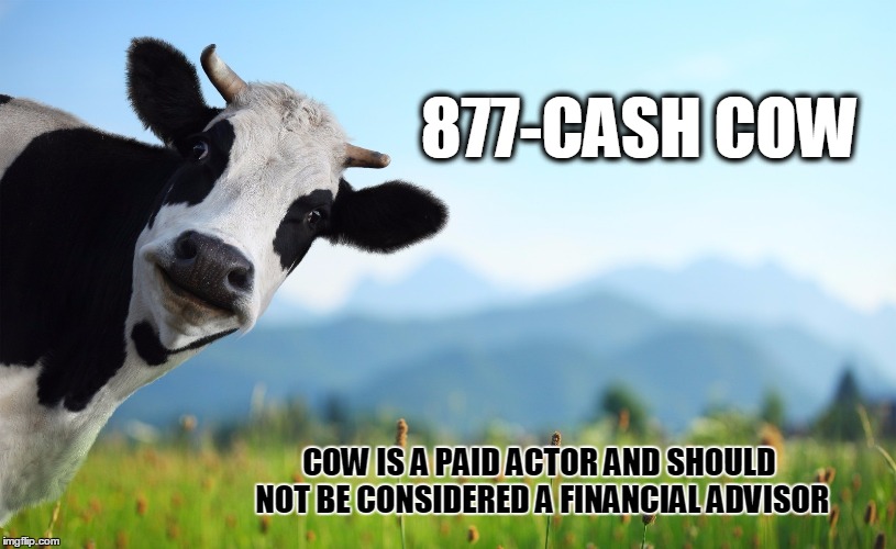 Never use a cow for financial advice | 877-CASH COW; COW IS A PAID ACTOR AND SHOULD NOT BE CONSIDERED A FINANCIAL ADVISOR | image tagged in i should buy a boat cat,cows,shut up and take my money,not sure if | made w/ Imgflip meme maker