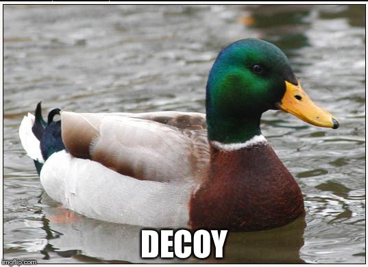 THIS IS NOT MY REAL MEME ITS JUST A | DECOY | image tagged in memes,actual advice mallard | made w/ Imgflip meme maker