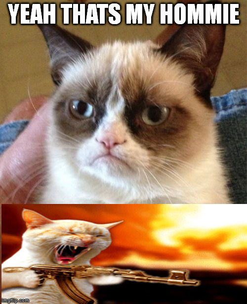 Grumpy Cat Meme | YEAH THATS MY HOMMIE | image tagged in memes,grumpy cat | made w/ Imgflip meme maker