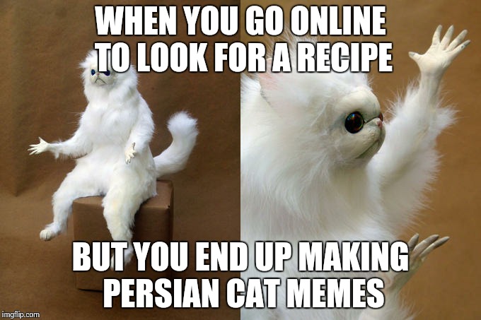 Persian Cat Room Guardian Meme | WHEN YOU GO ONLINE TO LOOK FOR A RECIPE; BUT YOU END UP MAKING PERSIAN CAT MEMES | image tagged in persian cat room guardian | made w/ Imgflip meme maker