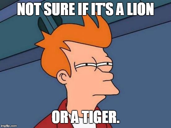 Futurama Fry Meme | NOT SURE IF IT'S A LION OR A TIGER. | image tagged in memes,futurama fry | made w/ Imgflip meme maker