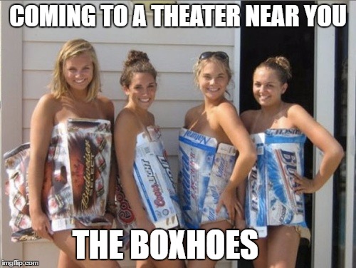 Boxhoes | COMING TO A THEATER NEAR YOU; THE BOXHOES | image tagged in meme | made w/ Imgflip meme maker