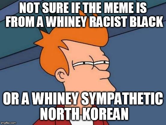 Futurama Fry Meme | NOT SURE IF THE MEME IS FROM A WHINEY RACIST BLACK OR A WHINEY SYMPATHETIC NORTH KOREAN | image tagged in memes,futurama fry | made w/ Imgflip meme maker