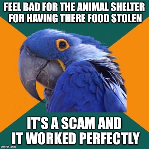 Paranoid Parrot | FEEL BAD FOR THE ANIMAL SHELTER FOR HAVING THERE FOOD STOLEN; IT'S A SCAM AND IT WORKED PERFECTLY | image tagged in memes,paranoid parrot,AdviceAnimals | made w/ Imgflip meme maker