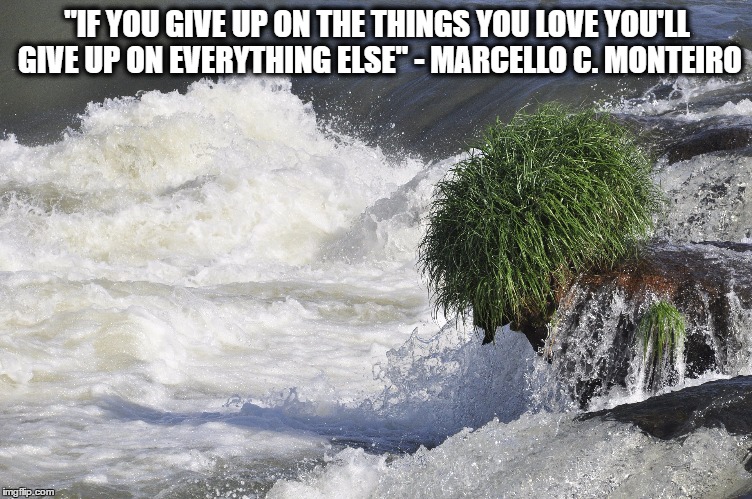 Brazil River Bush | "IF YOU GIVE UP ON THE THINGS YOU LOVE YOU'LL GIVE UP ON EVERYTHING ELSE" - MARCELLO C. MONTEIRO | image tagged in brazil river bush | made w/ Imgflip meme maker