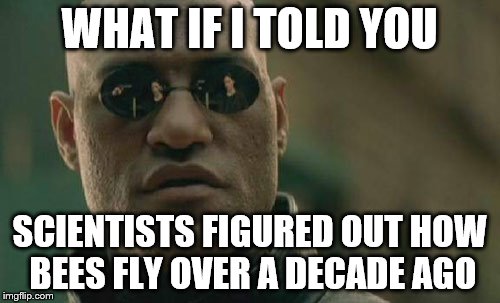 Matrix Morpheus Meme | WHAT IF I TOLD YOU SCIENTISTS FIGURED OUT HOW BEES FLY OVER A DECADE AGO | image tagged in memes,matrix morpheus | made w/ Imgflip meme maker