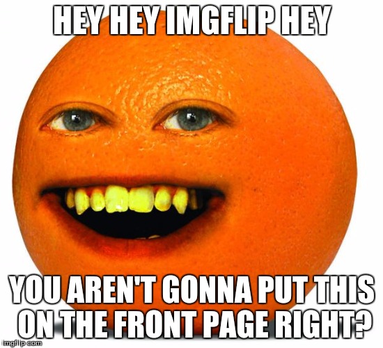 It would be funny if this did get on the front page | HEY HEY IMGFLIP HEY; YOU AREN'T GONNA PUT THIS ON THE FRONT PAGE RIGHT? | image tagged in annoying orange | made w/ Imgflip meme maker