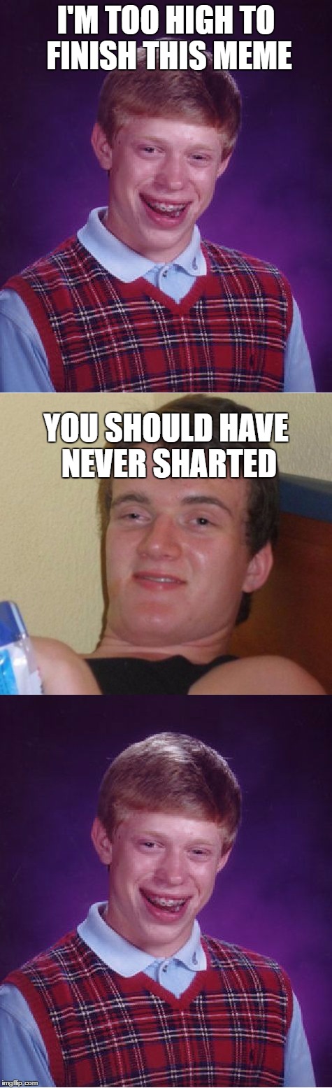 I'M TOO HIGH TO FINISH THIS MEME; YOU SHOULD HAVE NEVER SHARTED | image tagged in stoners shart | made w/ Imgflip meme maker
