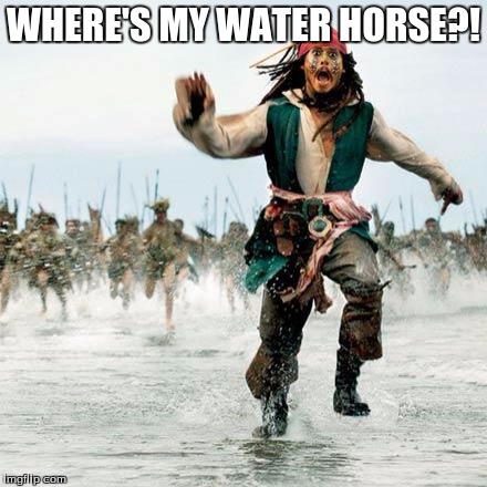 Captain Jack Sparrow | WHERE'S MY WATER HORSE?! | image tagged in captain jack sparrow | made w/ Imgflip meme maker