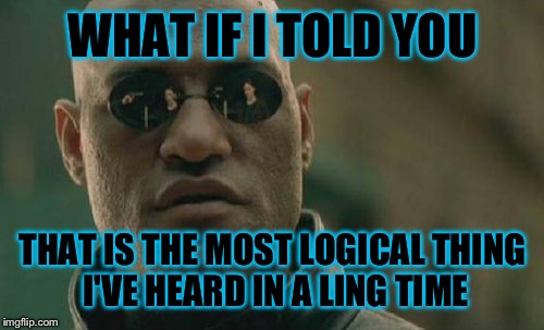 Matrix Morpheus Meme | WHAT IF I TOLD YOU THAT IS THE MOST LOGICAL THING I'VE HEARD IN A LING TIME | image tagged in memes,matrix morpheus | made w/ Imgflip meme maker