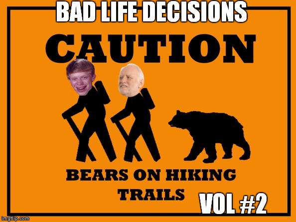 Hide the Bad Luck Bears | BAD LIFE DECISIONS; VOL #2 | image tagged in hide the pain harold,bad luck brian,bad luck bear,meme | made w/ Imgflip meme maker