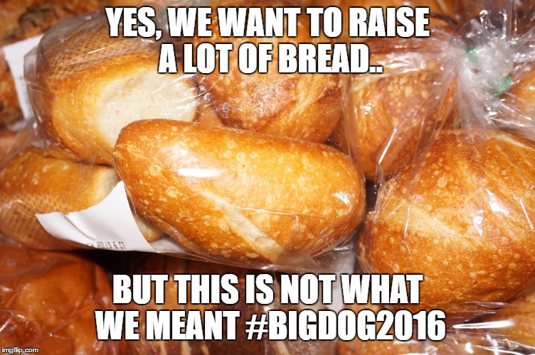 YES, WE WANT TO RAISE A LOT OF BREAD.. BUT THIS IS NOT WHAT WE MEANT #BIGDOG2016 | image tagged in egfoodbank_bread | made w/ Imgflip meme maker