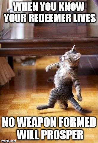 Cool Cat Stroll | WHEN YOU KNOW YOUR REDEEMER LIVES; NO WEAPON FORMED WILL PROSPER | image tagged in memes,cool cat stroll | made w/ Imgflip meme maker