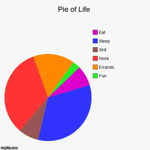 Pie Of Life Imgflip