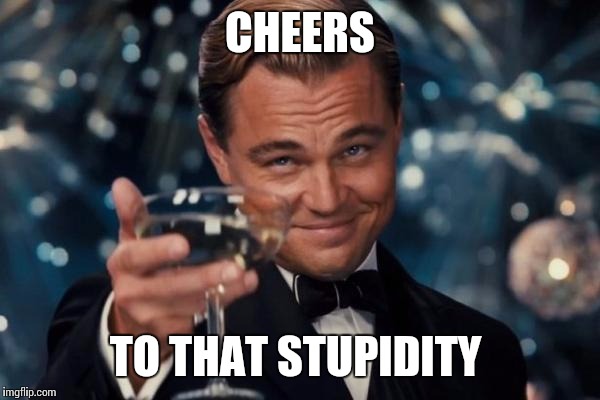 Leonardo Dicaprio Cheers Meme | CHEERS TO THAT STUPIDITY | image tagged in memes,leonardo dicaprio cheers | made w/ Imgflip meme maker