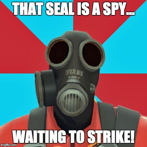 Paranoid Pyro | THAT SEAL IS A SPY... WAITING TO STRIKE! | image tagged in paranoid pyro | made w/ Imgflip meme maker