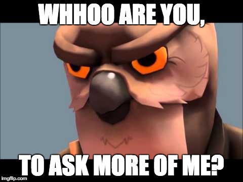 Owl sniper | WHHOO ARE YOU, TO ASK MORE OF ME? | image tagged in owl sniper | made w/ Imgflip meme maker