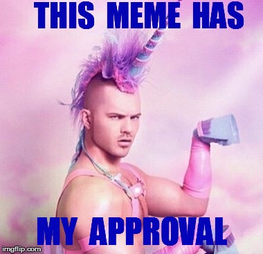 THIS  MEME  HAS MY  APPROVAL | made w/ Imgflip meme maker