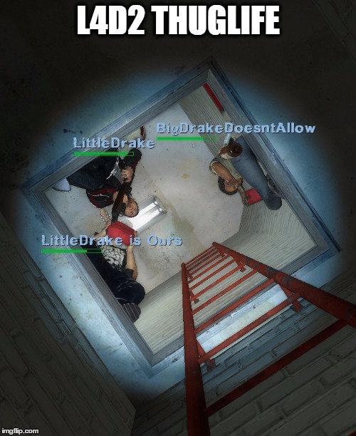 l4d2 thuglife ladder | L4D2 THUGLIFE | image tagged in l4d2,steam,game,troll | made w/ Imgflip meme maker