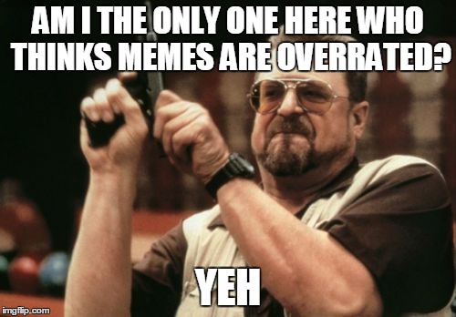 Am I The Only One Around Here | AM I THE ONLY ONE HERE WHO THINKS MEMES ARE OVERRATED? YEH | image tagged in memes,am i the only one around here | made w/ Imgflip meme maker