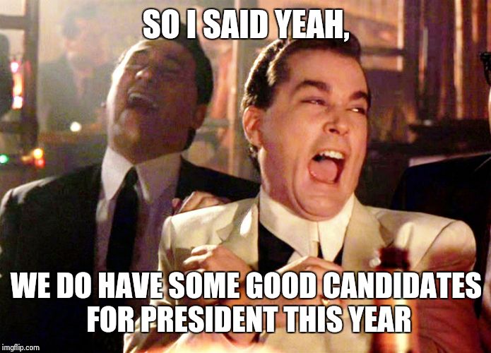 Good Fellas Hilarious | SO I SAID YEAH, WE DO HAVE SOME GOOD CANDIDATES FOR PRESIDENT THIS YEAR | image tagged in memes,good fellas hilarious | made w/ Imgflip meme maker